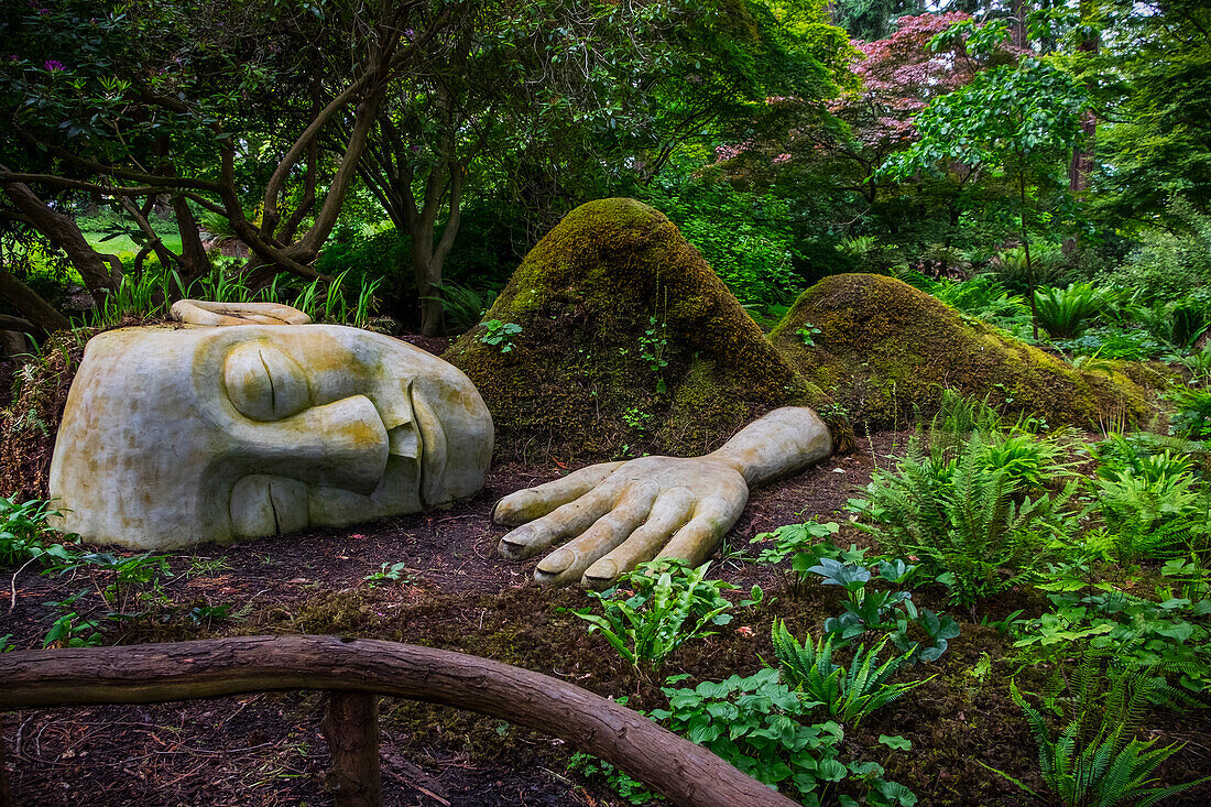 The Moss Lady In Beacon Hill, Created By Gardener Dale Doebert; Victoria, British Columbia, Canada