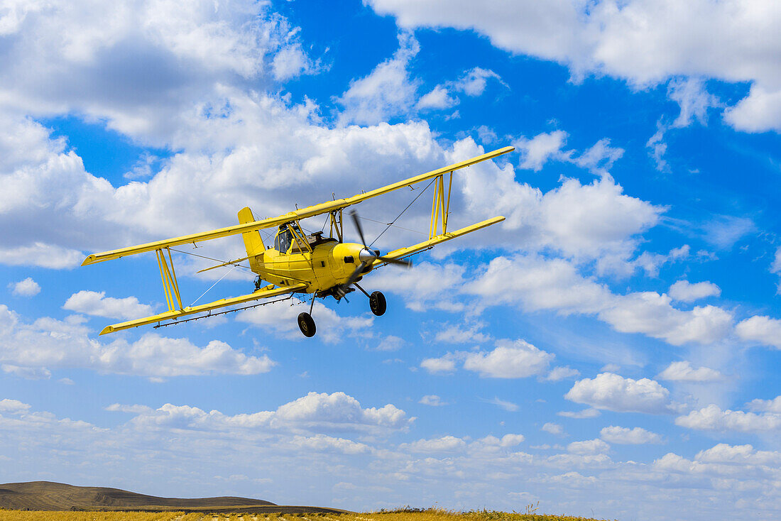 Crop Duster Spraying Herbicide On Fields Of Garbanzo Beans In The Palouse Region Of Eastern Washington; Washington, United States Of America