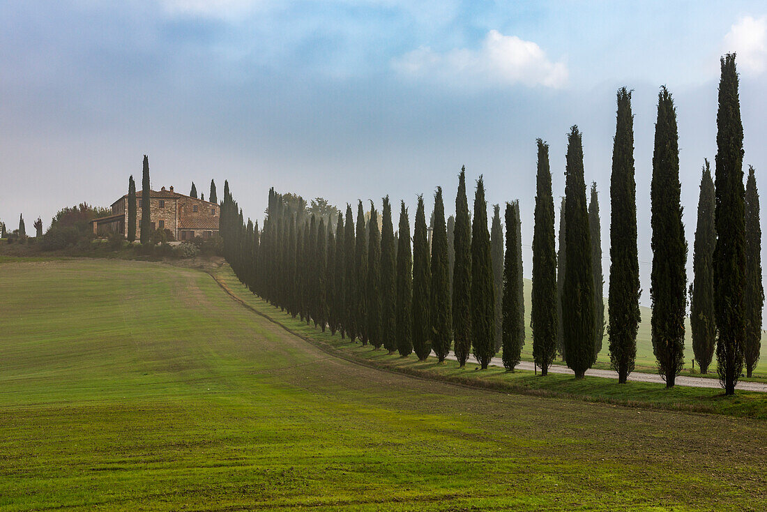 A Typical Tuscany Landscape With Cypress Alley Leads To A Small Villa On A Green Hill; Castiglione D'orcia, Italy
