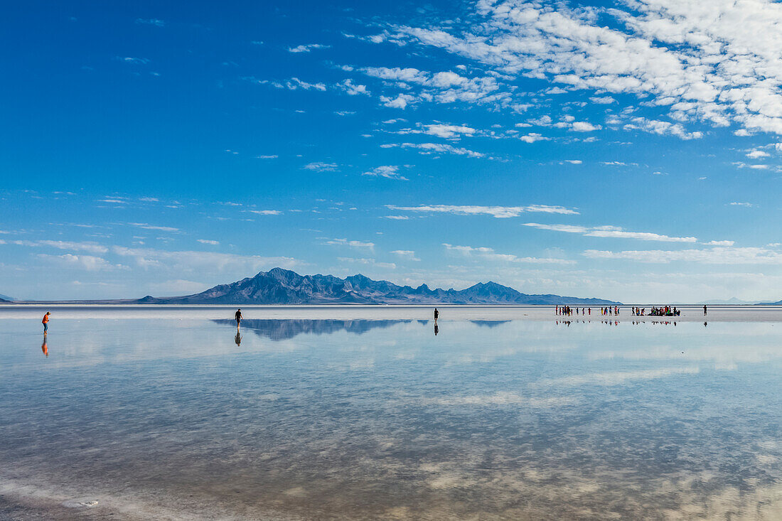 Tourists walk in inches deep salt water near Bonneville Salt Flats; Wendover, Utah, United States of America