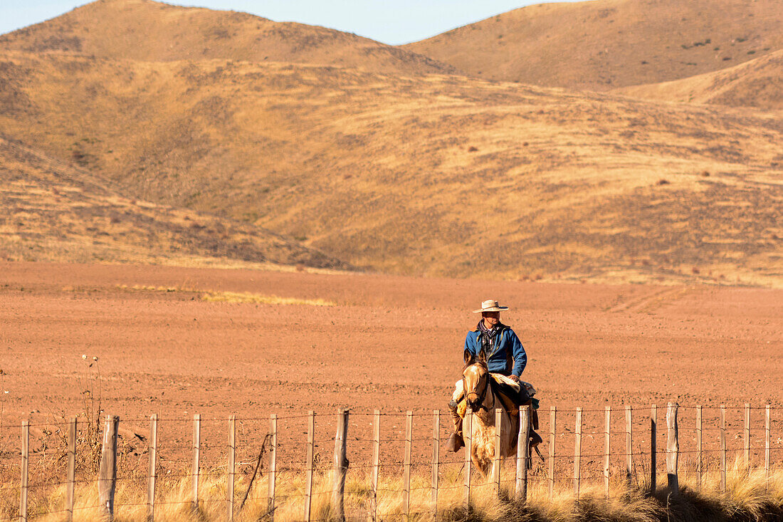 A gaucho is riding his horse along his property of bare desert hills; Potrerillos, Mendoza, Argentina