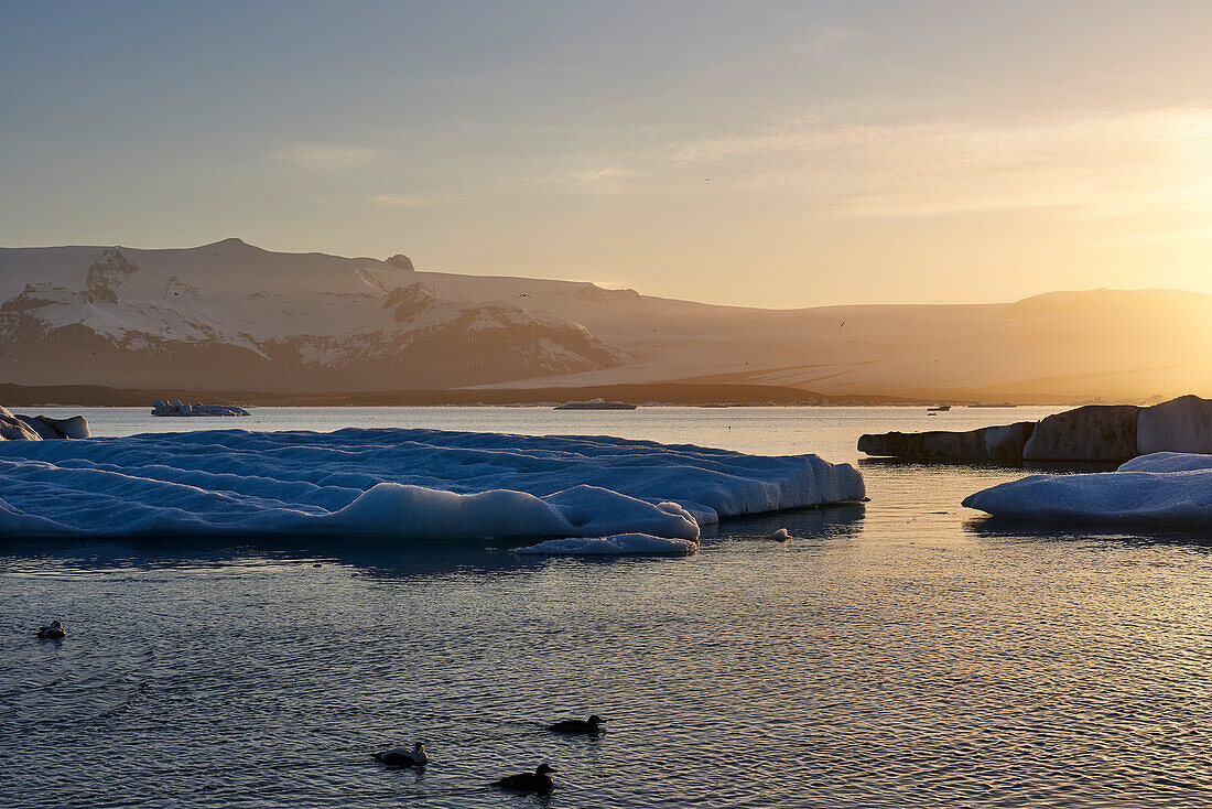 A Glacial Lagoon At Sunset With Silhouetted Ducks Swimming In The Water In The Foreground; Iceland