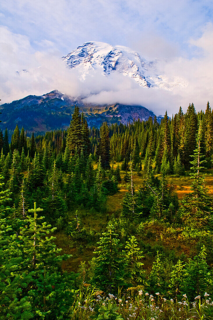 Mount Rainier, Mount Rainier National Park; Washington, United States Of America