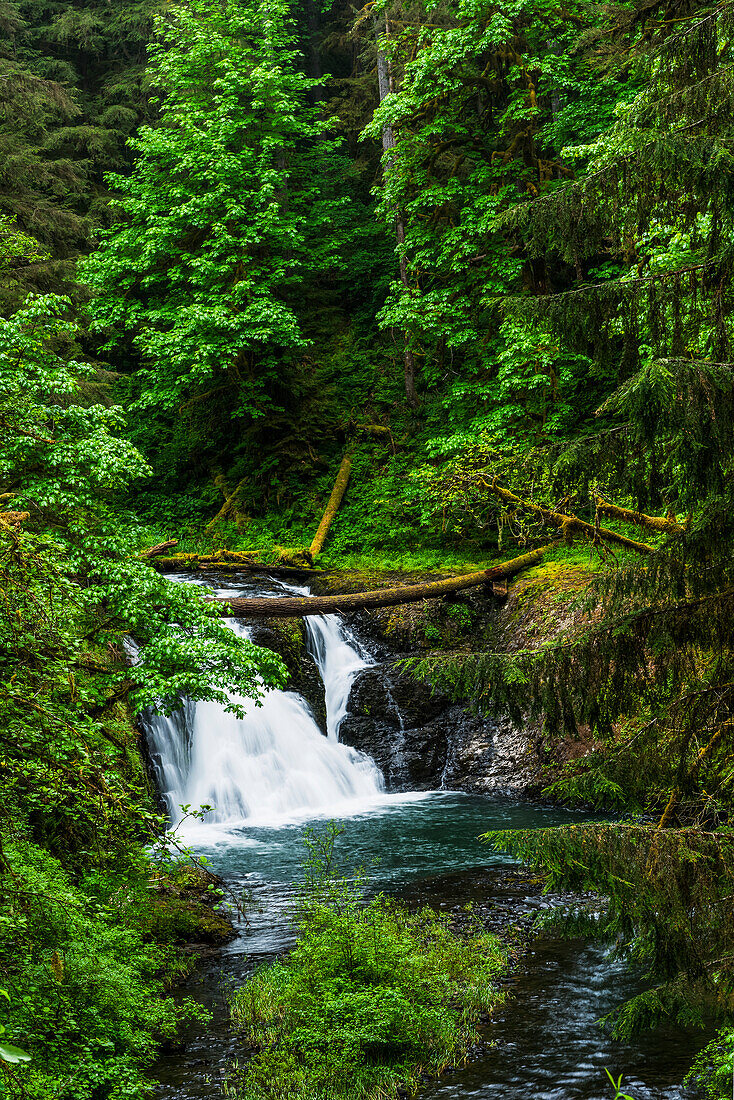 Twin Falls, One Of The Smaller Waterfalls At Silver Falls State Park; Silverton, Oregon, United States Of America