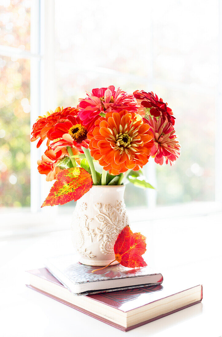 Zinnia's Composed On A Lovely Wide Window Sill; Surrey, British Columbia, Canada