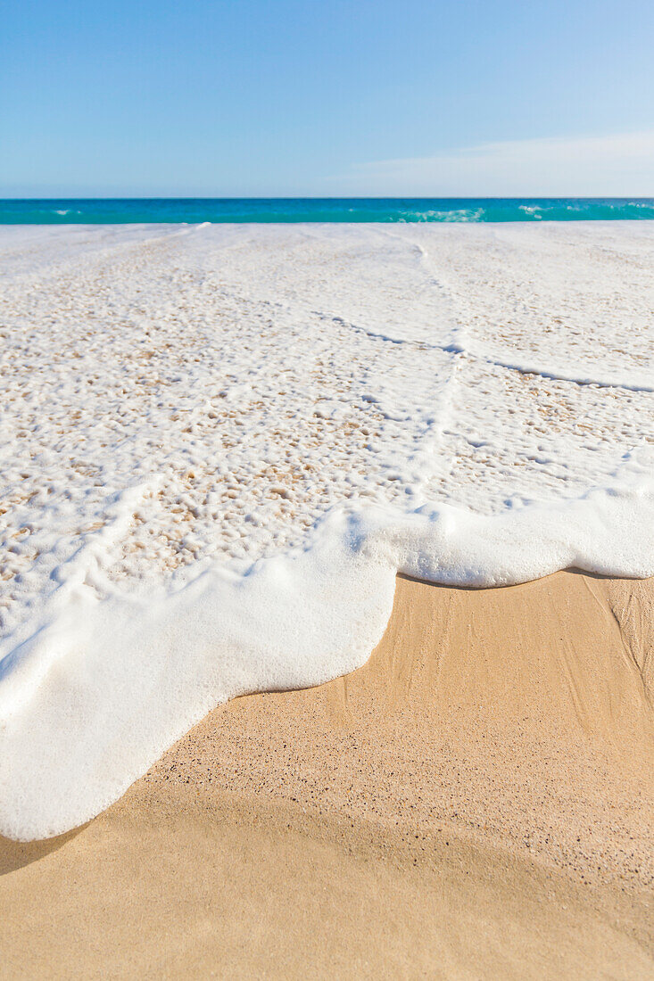 The ocean whitewash sea foam rising high onto the sand at the beach on the North Shore of Oahu; Honolulu, Oahu, Hawaii, United States of America