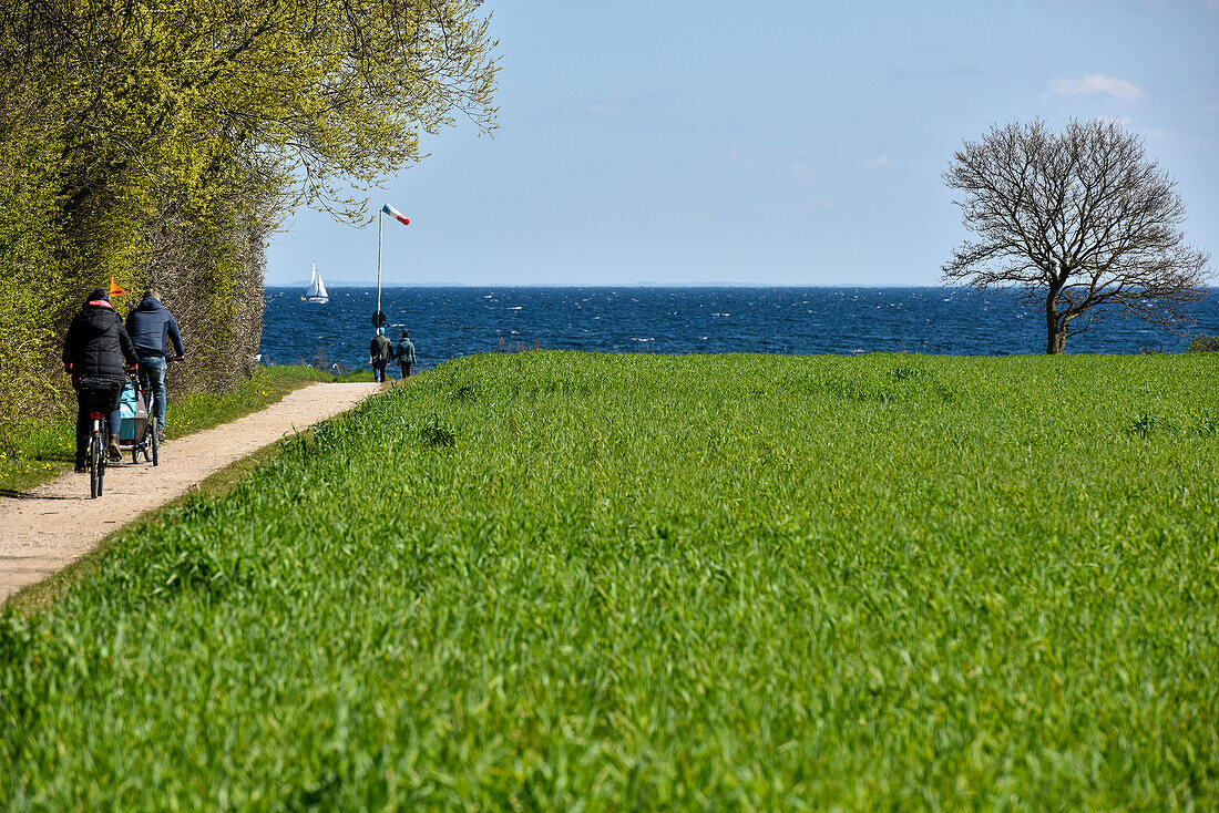 Radfahrer auf Küstenwanderweg an der Ostsee, Kellenhusen, Schleswig Holstein, Deutschland