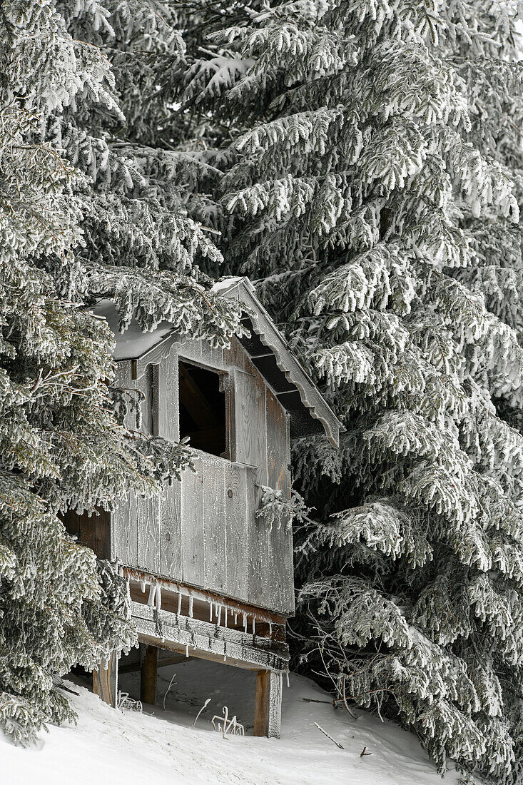 vereiste Hütte im Schnee, Charmey, Schweiz