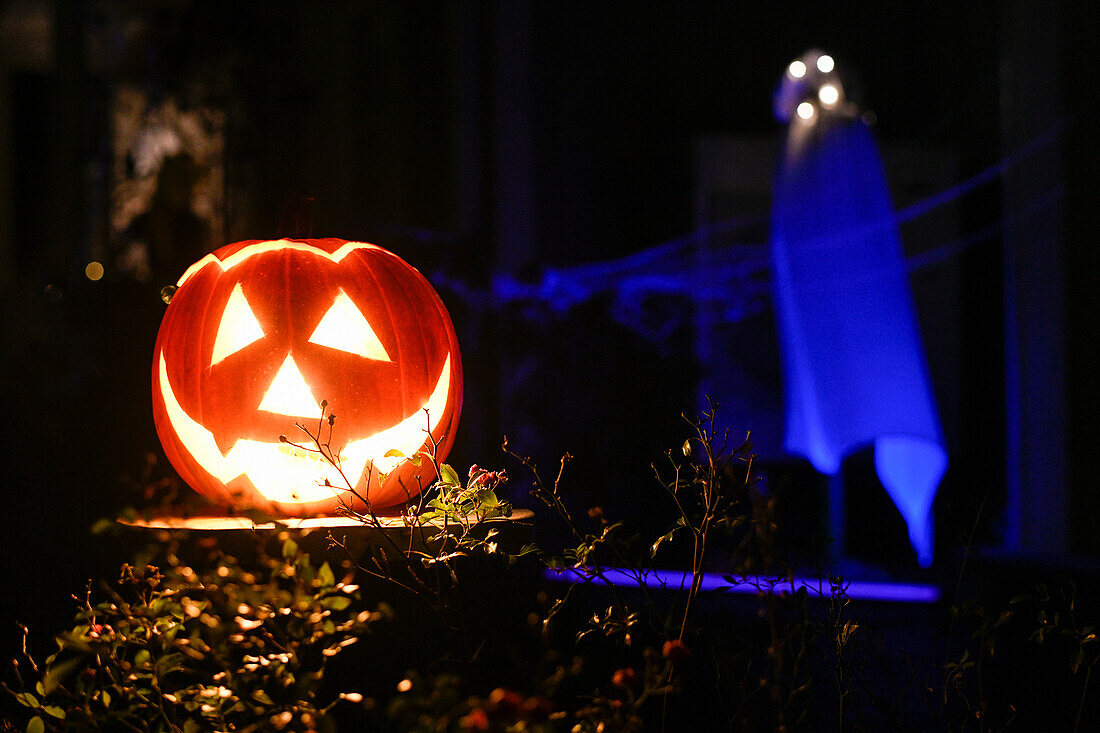 beleuchtete Kürbisfratze an Halloween, Hamburg, Deutschland