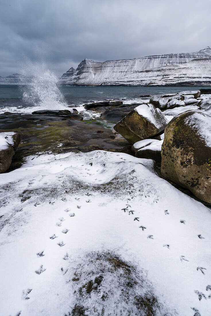 Vogelspuren im frischen Schnee bei  Funningur, Eysturoy, Färöer Inseln, Dänemark