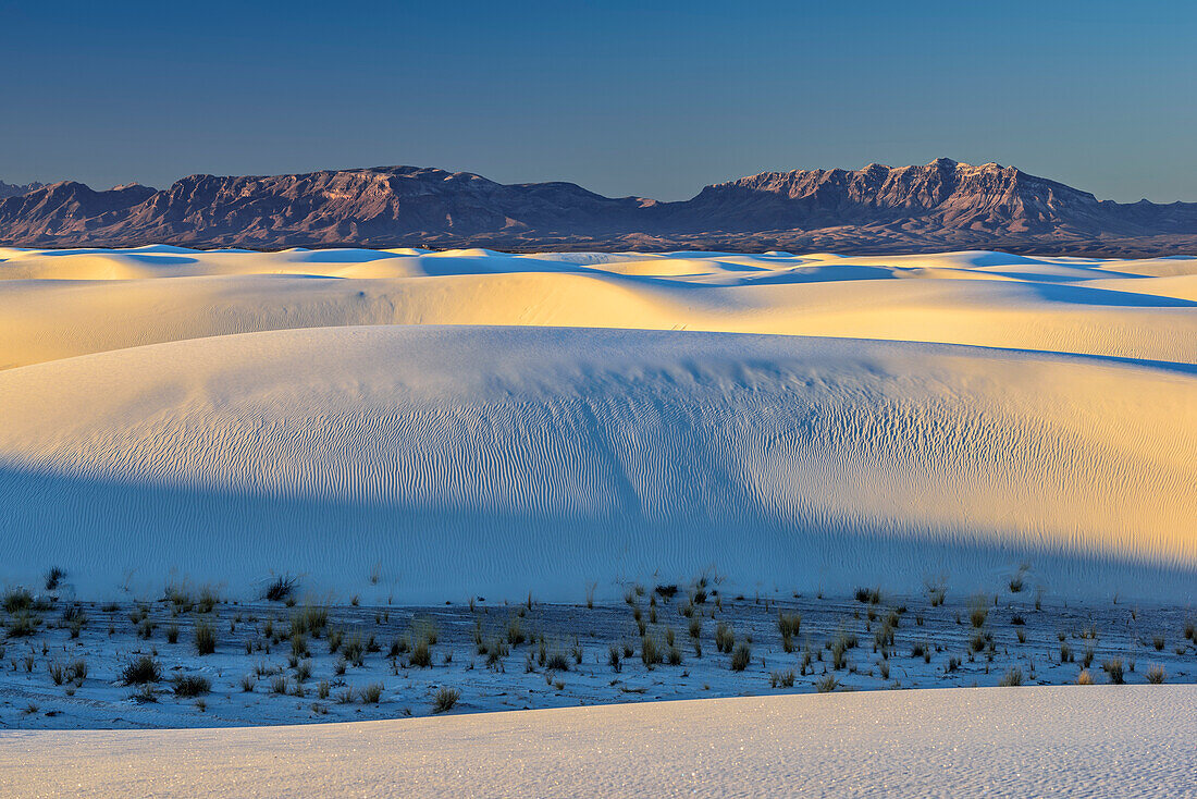 White sand dunes at first light, White Sands National Monument, New Mexico, USA