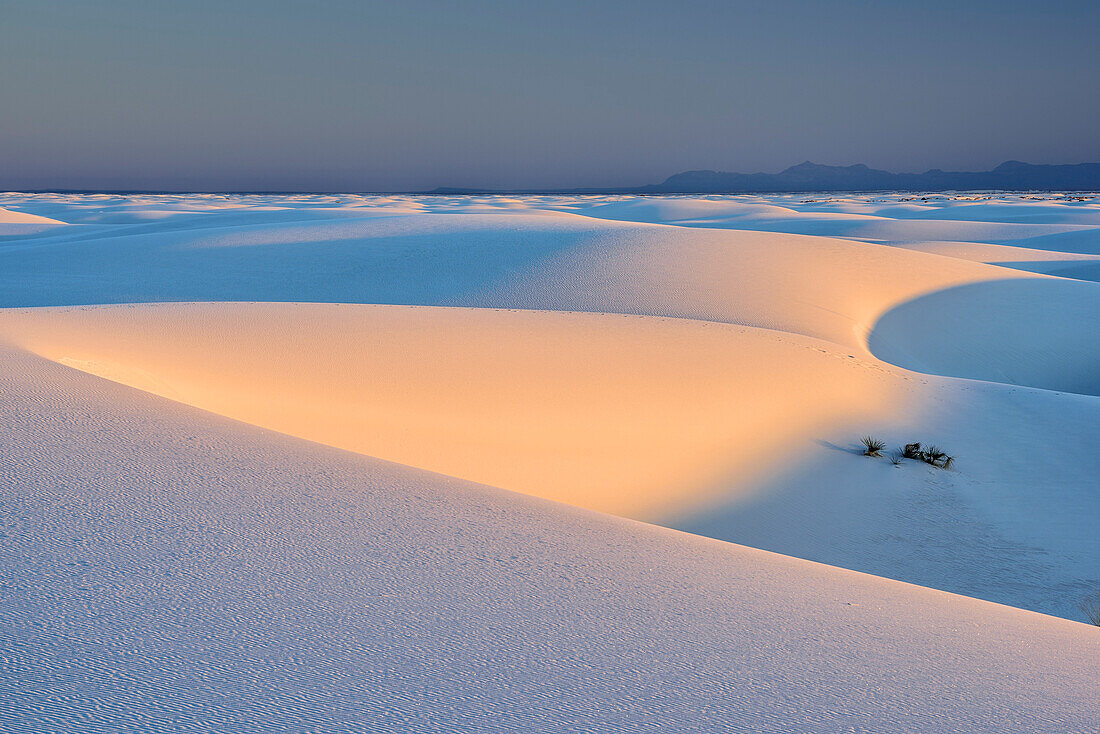 White sand dunes at first light, White Sands National Monument, New Mexico, USA