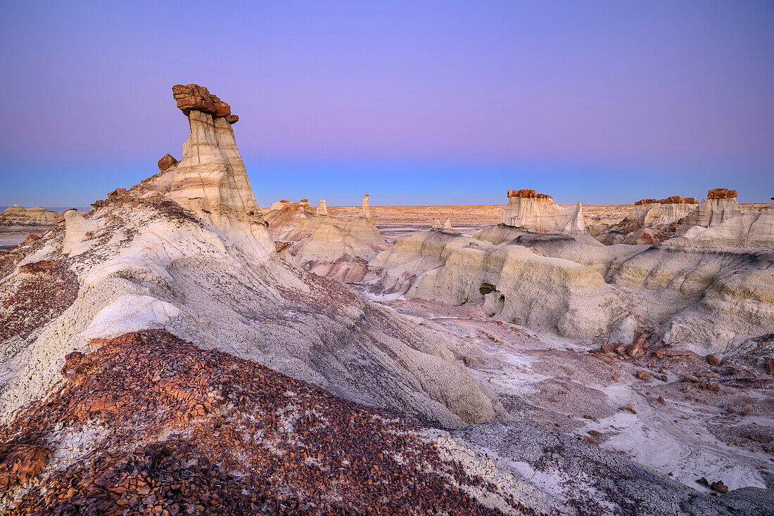 Rock towers with white sandstone at dawn, Bisti Badlands, De-Nah-Zin Wilderness Area, New Mexico, USA