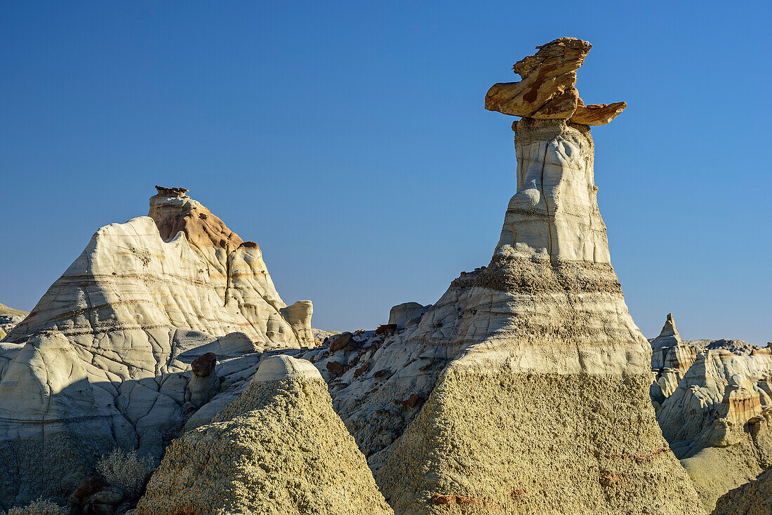 Rock towers with white sandstone, Bisti Badlands, De-Nah-Zin Wilderness Area, New Mexico, USA