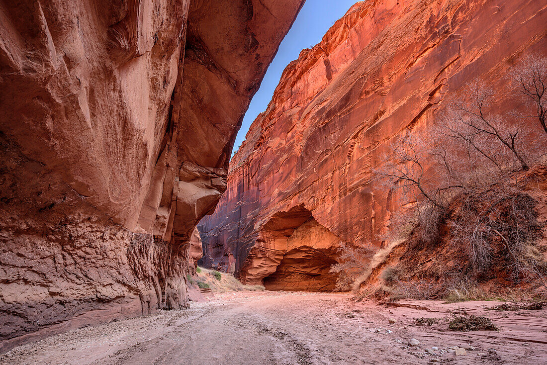 Roter Sandsteincanyon, Buckskin Gulch, Grand Staircase-Escalante National Monument, Utah, USA