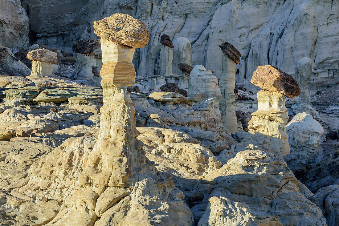 White rock towers at Wahweap River, Grand Staircase-Escalante National Monument, Utah, USA