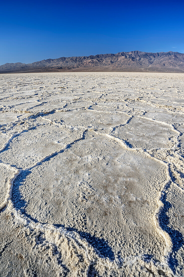 Salt deposit in salt pan, Badwater Basin, Death Valley National Park, California, USA