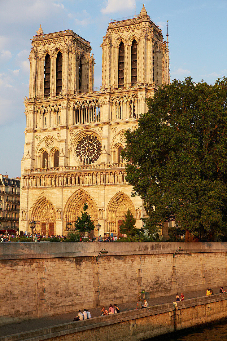 Westfassade der Kathedrale Notre Dame, von der Seine aus gesehen. Île de la Cité. Paris. Frankreich. Die Kathedrale gilt weithin als eines der schönsten Beispiele der französischen Gotik.