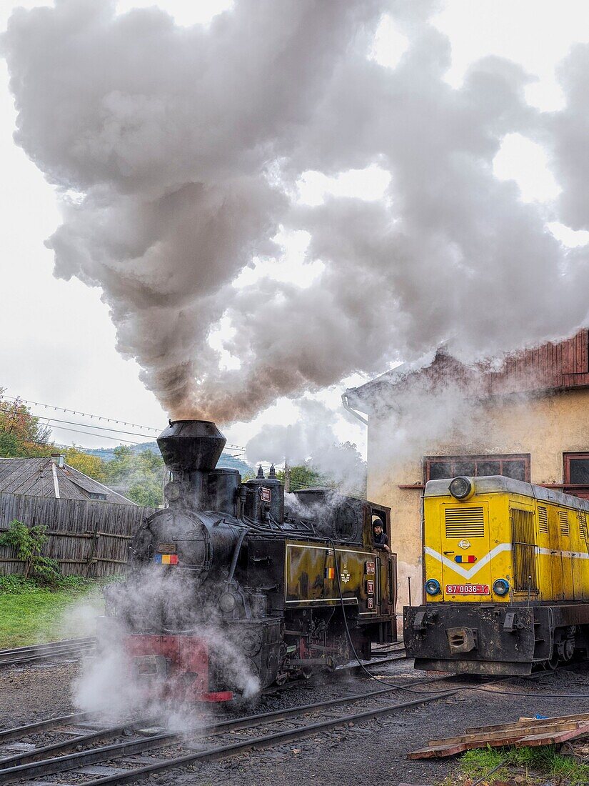 Carpathian Forest Steam Train. Romania.