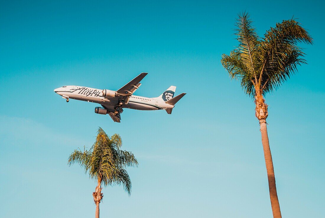 A commercial airline jet on final approach to San Diego International Airport, with palm trees in the foreground