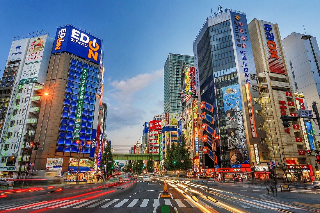 Japan, Tokyo City, Akihabara Electric Town, Chuo Avenue.