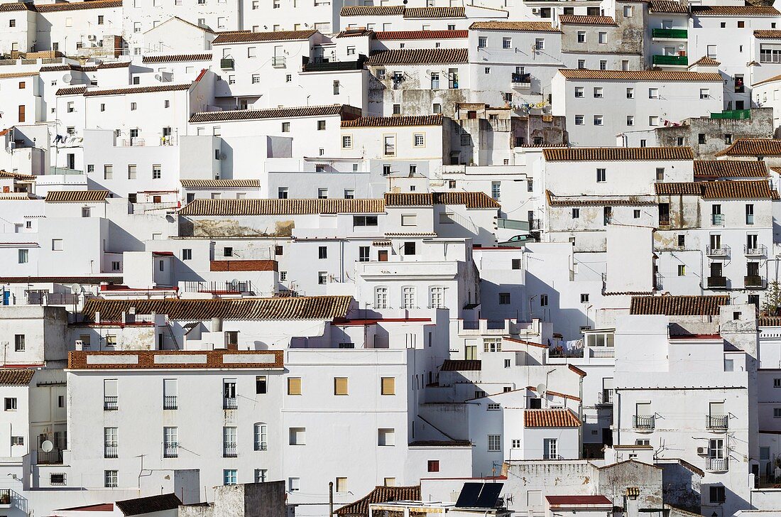 Brilliantly whitewashed houses in Alcala de los Gazules. Cadiz province, Andalusia, Spain.