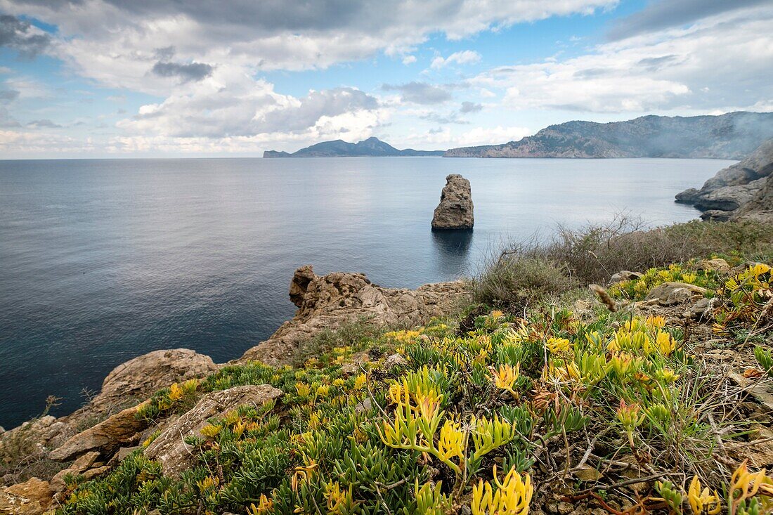 Island in front of Mola cape, Andratx, region of the Sierra de Tramuntana, Mallorca, Spain.