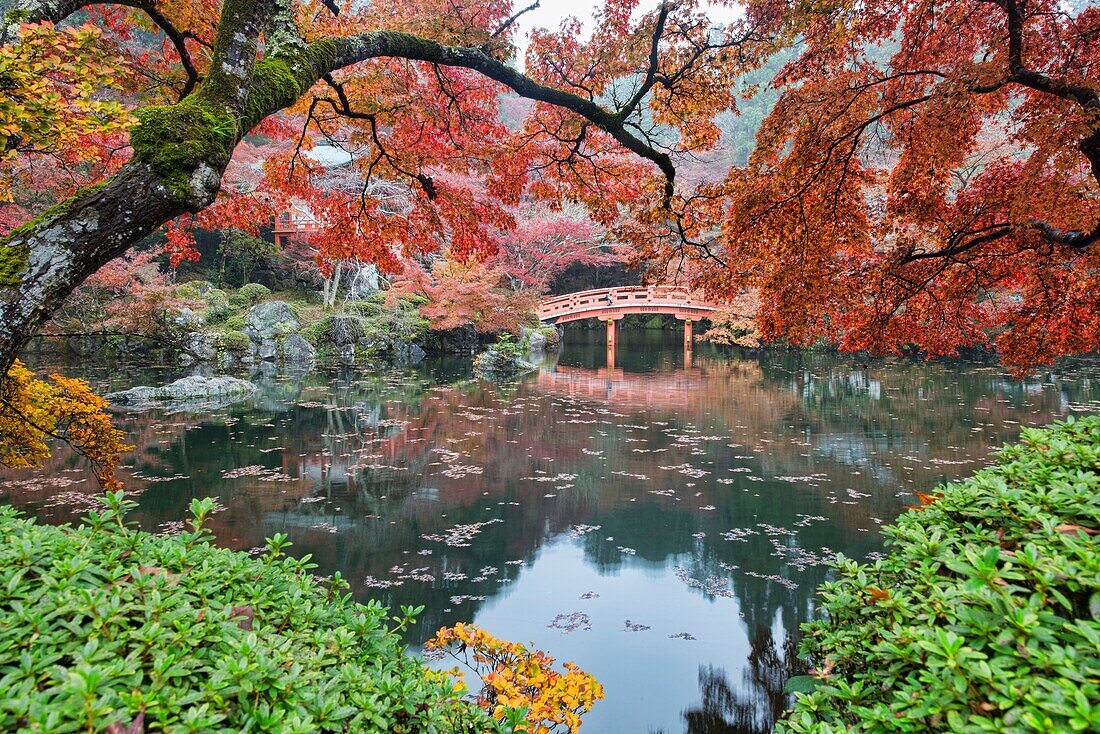 Classic autumn view at Daigo-ji Temple, Kyoto, Japan.