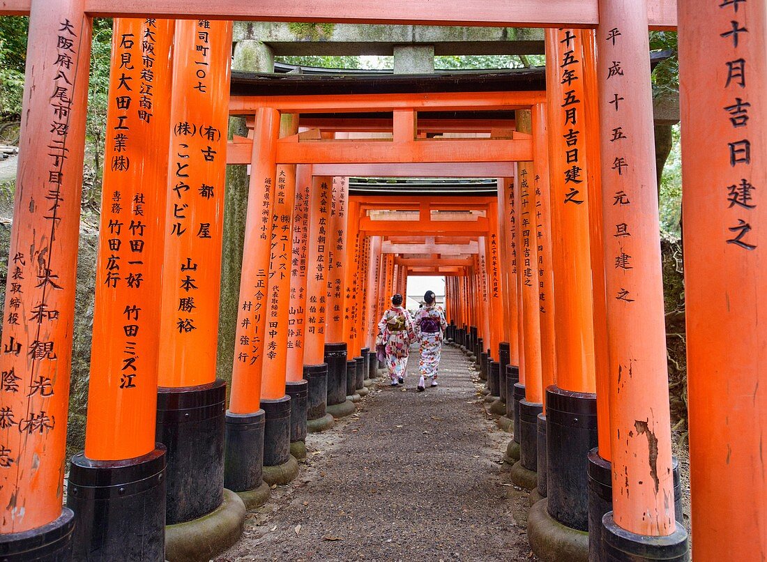 Endless torii shrine gates at Fushimi Inari Shrine, Kyoto, Japan.