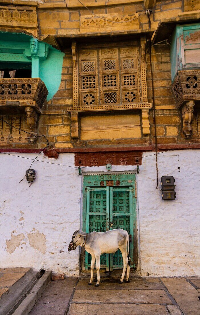 Detail of architecture walking the streets of Jaisalmer.