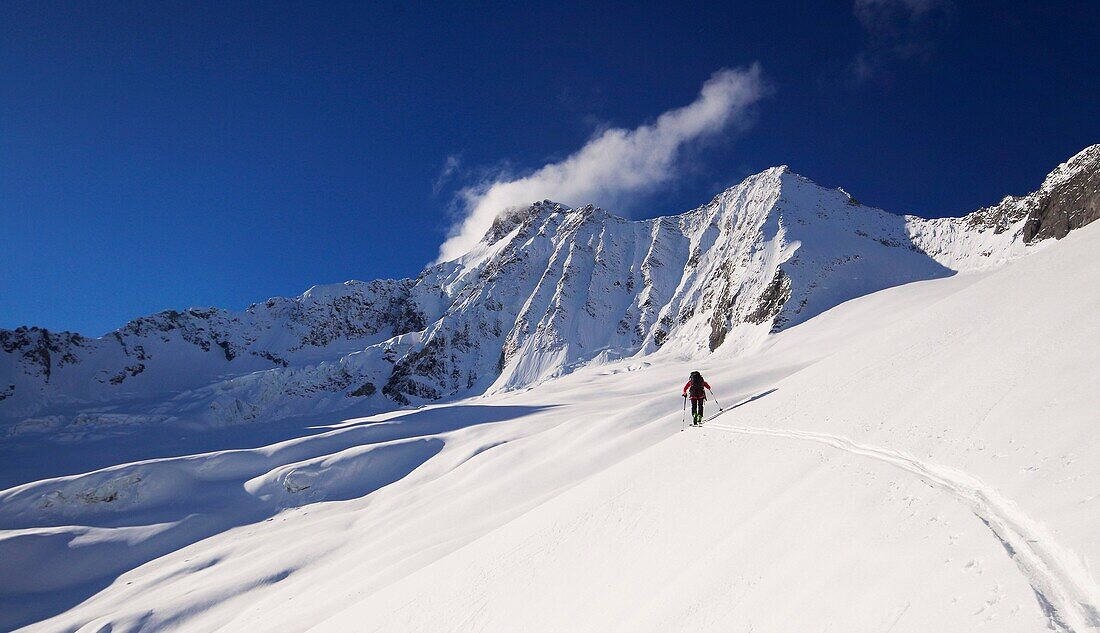 A man skiing uphill on the Disgrazia glacier, Valmalenco, Valtellina, Lombardy, Italy.