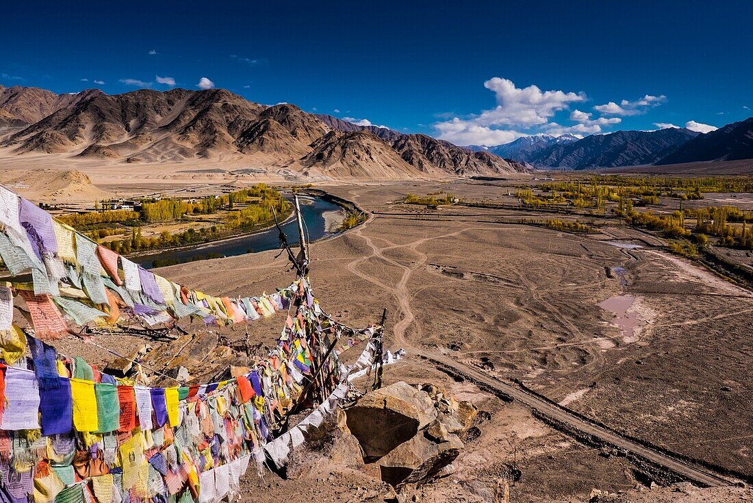 Stakna Monastery, Indus Valley, Ladakh, India, Asia. Prayer flags.