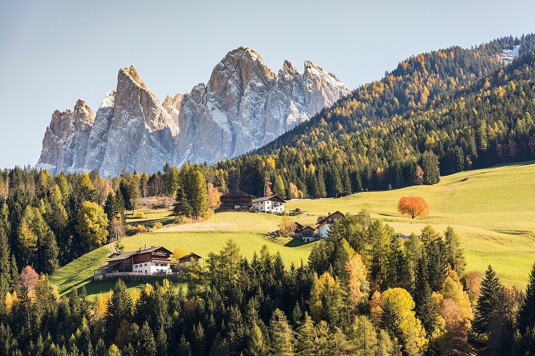 Autumnal landscape with Odle Dolomites peaks on the background. Santa Maddalena, Val di Funes, Trentino Alto Adige - Sudtirol, Italy, Europe.