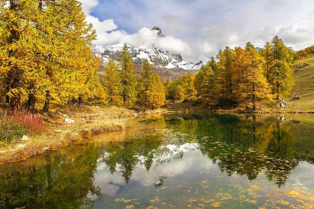 The Matterhorn stands out among the clouds and it is reflected in the small lake Blu surrounded by colorful trees in autumn (Cervinia, Valtournenche, Aosta province, Aosta Valley, Italy, Europe).