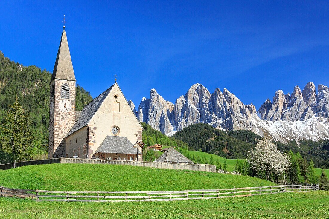 The Church of Ranui and the Odle group in the background. St. Magdalena Funes Valley Dolomites South Tyrol Italy Europe.