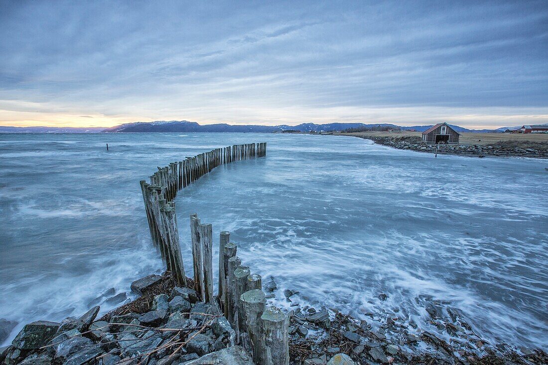 Waves on the icy sea Kystensarv Trøndelag Norway Europe.