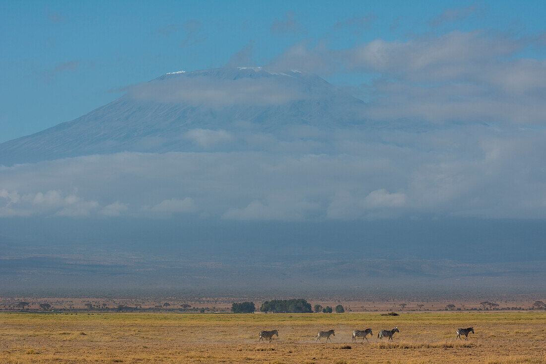 Kenya, Africa, Amboseli National Park