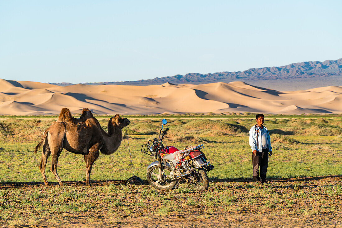 Camel and nomadic man with his motorbike. Sevrei district, South Gobi province, Mongolia.