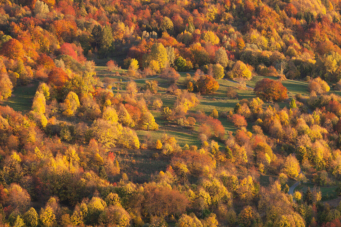 Crociglia pass, Nure valley, Piacenza province, Apennines,Italy