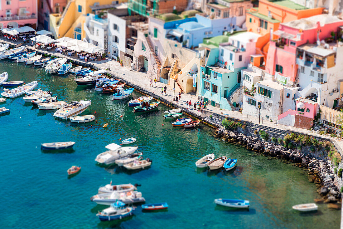 Italy, Campania, Province of Naples, Procida. Tilt-Shift Effect at Corricella.