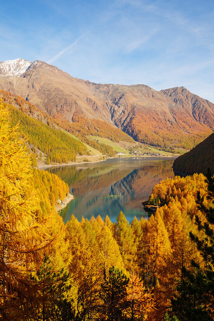 A panoramic view between larches of Verlago lake in autumn. Verlago, Senales valley, , Bolzano, South Tyrol, Italy, Europe