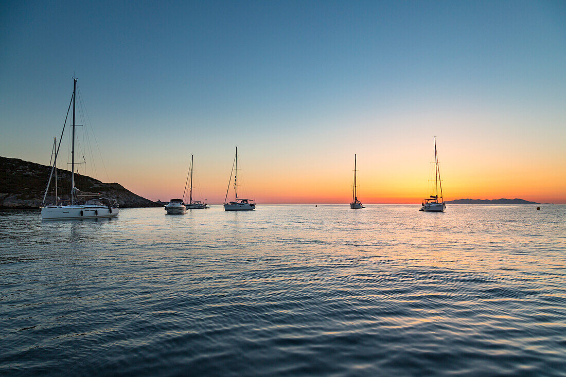 Sailing boats at sunrise, on background Capraia Island (Macinaggio, Rogliano, Bastia, Haute-Corse department, Corsica, France, Europe)