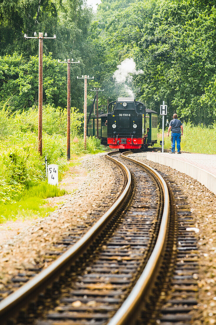 Rugen Island, Baltic coast, Mecklenburg-Western Pomerania, Germany, The historical Rugensche Baderbahn steam train called 'Rasender Roland'