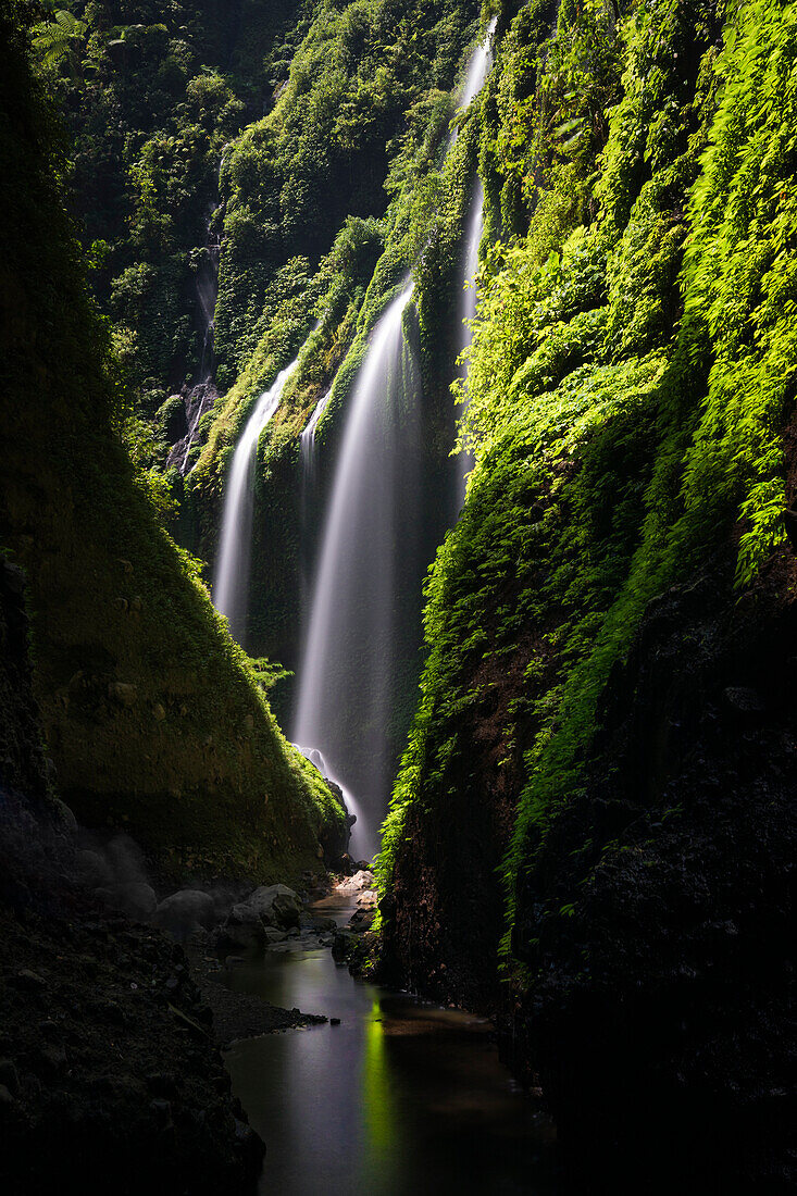 madakaripura waterfall in Bromo area, Giava Island