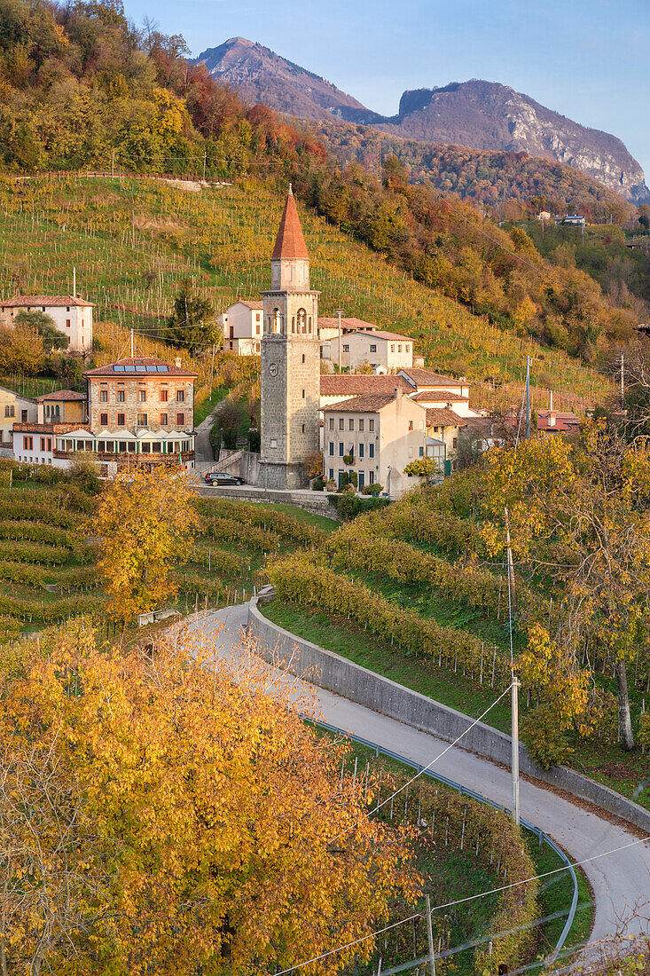 Rolle surrounded by Prosecco vineyards, Cison di Valmarino, Treviso, Veneto, Italy