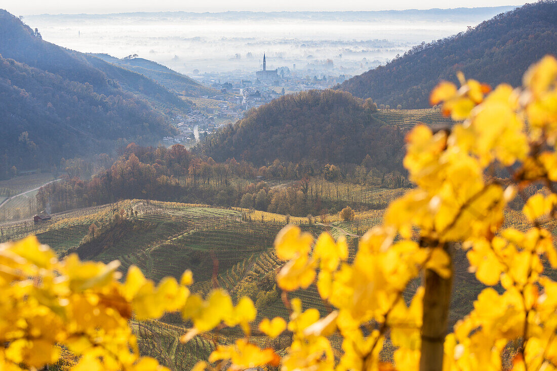 the village of Col San Martino (Farra di Soligo) framed by the yellow leaves of the vineyards, as seen from the road of wine, Valdobbiadene, Treviso, Veneto, Italy
