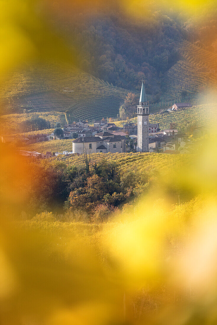 the village of Guia framed by the yellow leaves of the vineyards, as seen from the road of wine, Valdobbiadene, Treviso, Veneto, Italy