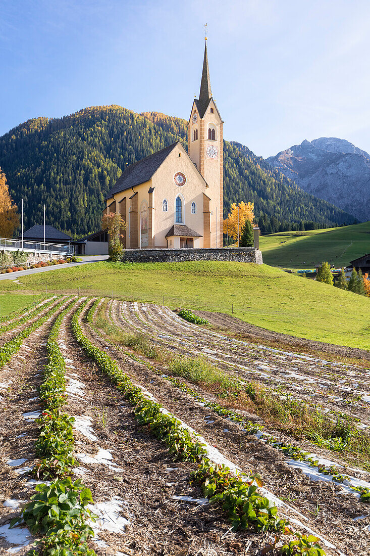 The parish church of Kartitsch in the Gailtal, Lienz district, Tyrol, Austria
