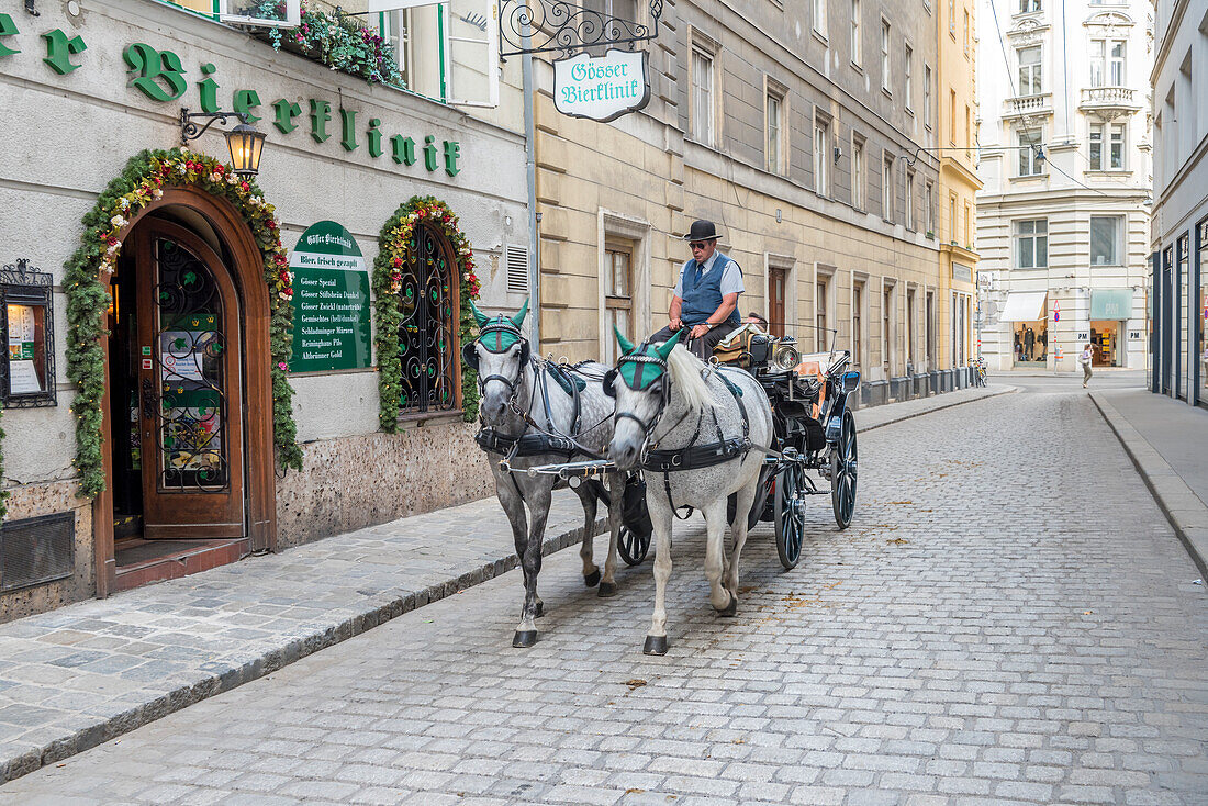 Vienna, Austria, Europe, The traditional Fiaker horse carriages