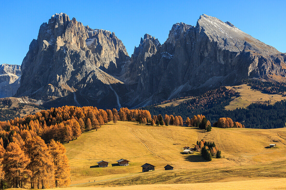 View of Sassolungo and Sassopiatto during autumn from Alpe di Siusi/Seiser Alm, Dolomites, province of Bolzano, South Tyrol, Italy